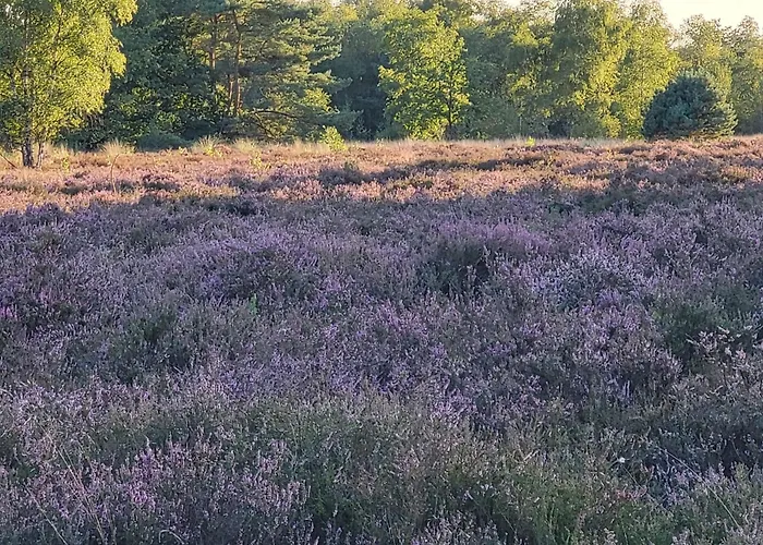 Nieuw! Sfeervol Tiny House in de natuur en aan het water